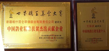 昆仑翠翎鸽业助力世界汉字节，推动家禽文化与产业融合发展