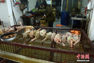 苏州市区暂停活禽交易，杀白家禽销售遇冷市场遇新挑战